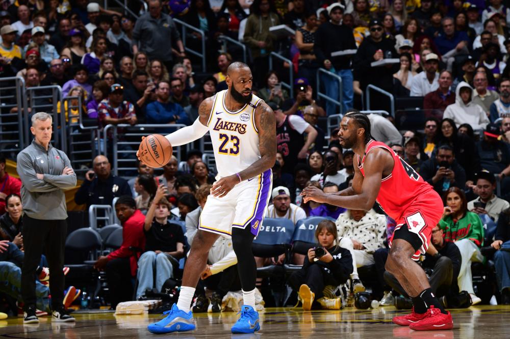 樊振东的成 樊振东的成